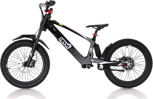 REVVI 20" ELECTRIC BIKE